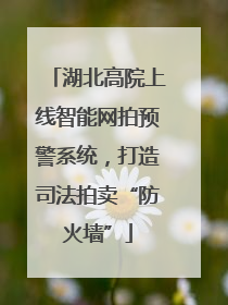 湖北高院上线智能网拍预警系统，打造司法拍卖“防火墙”
