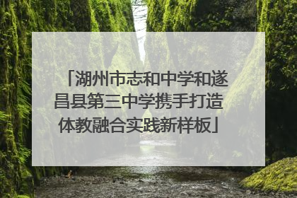 湖州市志和中学和遂昌县第三中学携手打造体教融合实践新样板