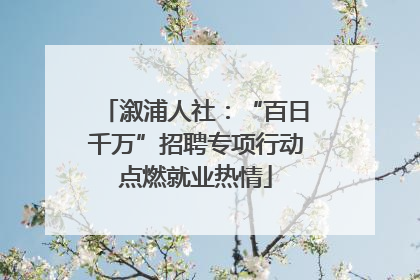 溆浦人社：“百日千万”招聘专项行动点燃就业热情