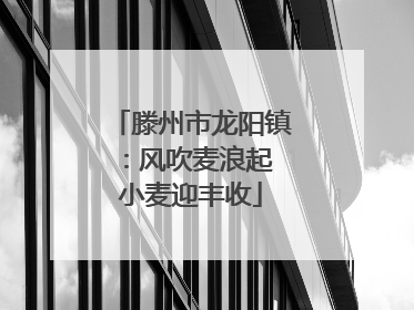 滕州市龙阳镇：风吹麦浪起 小麦迎丰收