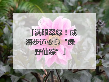 满眼翠绿！威海步道变身“绿野仙踪”