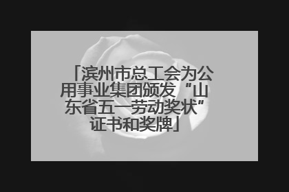 滨州市总工会为公用事业集团颁发“山东省五一劳动奖状”证书和奖牌