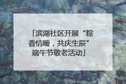 滨湖社区开展“粽香情暖，共庆生辰”端午节敬老活动