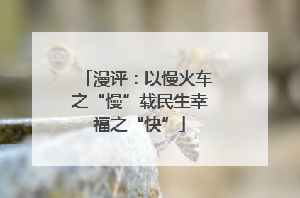 漫评：以慢火车之“慢”载民生幸福之“快”