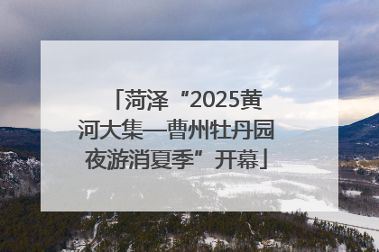 菏泽“2025黄河大集—曹州牡丹园夜游消夏季”开幕