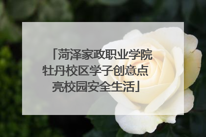 菏泽家政职业学院牡丹校区学子创意点亮校园安全生活