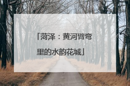 菏泽：黄河臂弯里的水韵花城