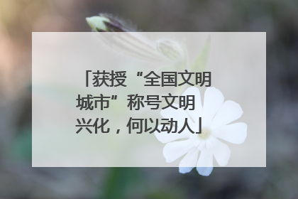 获授“全国文明城市”称号文明 兴化，何以动人