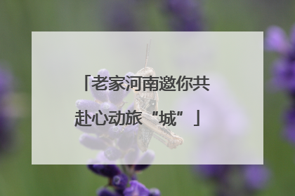 老家河南邀你共赴心动旅“城”