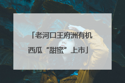 老河口王府洲有机西瓜“甜蜜”上市