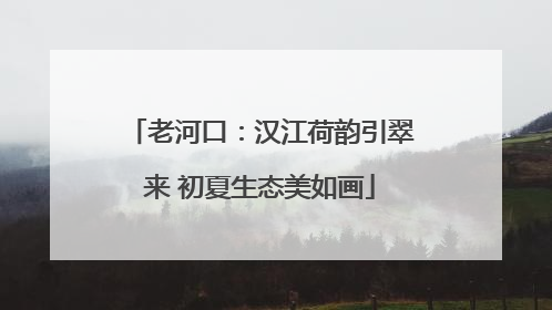 老河口：汉江荷韵引翠来 初夏生态美如画