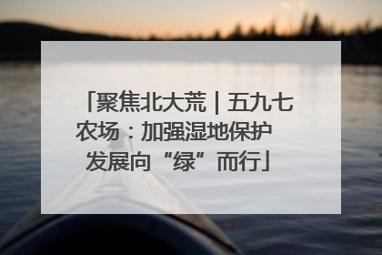 聚焦北大荒｜五九七农场：加强湿地保护 发展向“绿”而行