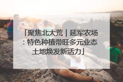 聚焦北大荒｜延军农场：特色种植带旺多元业态 土地焕发新活力