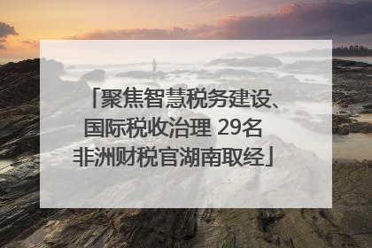 聚焦智慧税务建设、国际税收治理 29名非洲财税官湖南取经