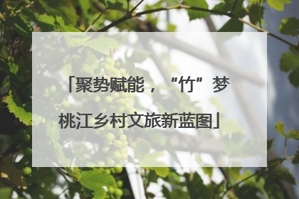 聚势赋能，“竹”梦桃江乡村文旅新蓝图