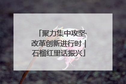 聚力集中攻坚·改革创新进行时｜石榴红里话振兴