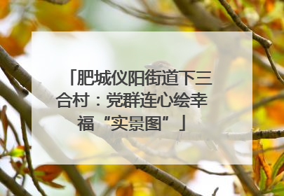 肥城仪阳街道下三合村：党群连心绘幸福“实景图”