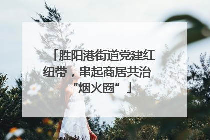 胜阳港街道党建红纽带，串起商居共治 “烟火圈”