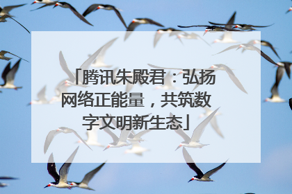腾讯朱殿君：弘扬网络正能量，共筑数字文明新生态