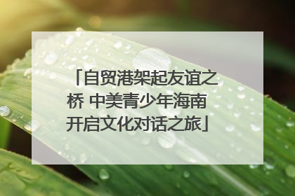 自贸港架起友谊之桥 中美青少年海南开启文化对话之旅