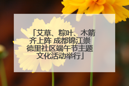 艾草、粽叶、木箭齐上阵 成都锦江崇德里社区端午节主题文化活动举行