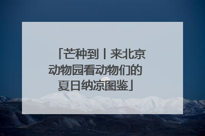 芒种到丨来北京动物园看动物们的夏日纳凉图鉴