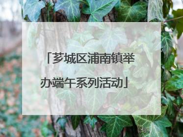 芗城区浦南镇举办端午系列活动
