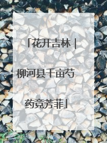 花开吉林｜柳河县千亩芍药竞芳菲