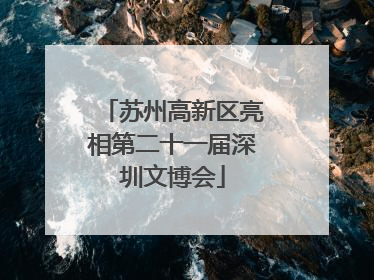苏州高新区亮相第二十一届深圳文博会