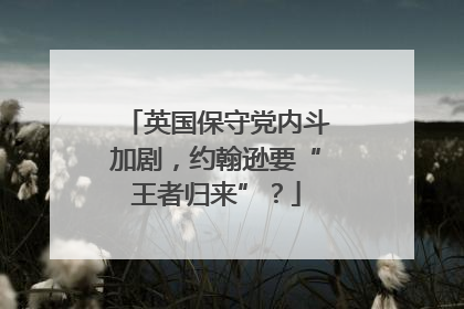 英国保守党内斗加剧，约翰逊要“王者归来”？