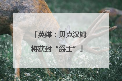 英媒：贝克汉姆将获封“爵士”