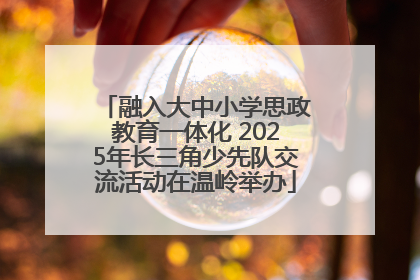 融入大中小学思政教育一体化 2025年长三角少先队交流活动在温岭举办