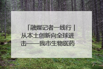 融媒记者一线行｜从本土创新向全球进击——我市生物医药产业破茧突围