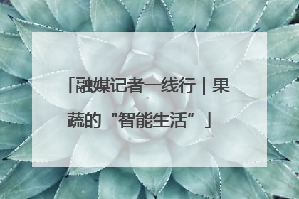 融媒记者一线行｜果蔬的“智能生活”