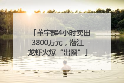 董宇辉4小时卖出3800万元，潜江龙虾火爆“出圈”