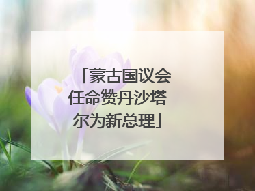 蒙古国议会任命赞丹沙塔尔为新总理