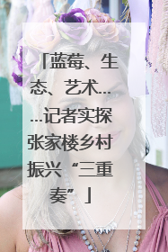 蓝莓、生态、艺术……记者实探张家楼乡村振兴“三重奏”