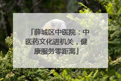 薛城区中医院：中医药文化进机关，健康服务零距离