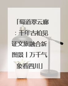 蜀道翠云廊：千年古柏见证文旅融合新图景丨万千气象看四川