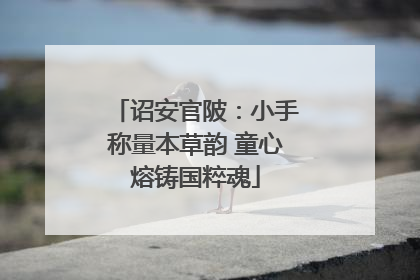 诏安官陂：小手称量本草韵 童心熔铸国粹魂