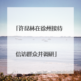 许昆林在徐州接待信访群众并调研