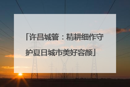 许昌城管：精耕细作守护夏日城市美好容颜