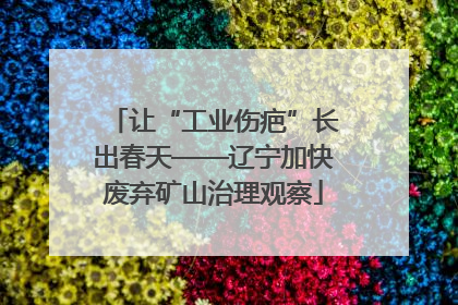 让“工业伤疤”长出春天——辽宁加快废弃矿山治理观察