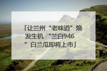 让兰州“老味道”焕发生机 “兰白946”白兰瓜即将上市