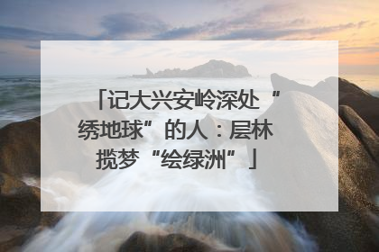 记大兴安岭深处“绣地球”的人：层林揽梦“绘绿洲”