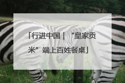 行进中国｜“皇家贡米”端上百姓餐桌