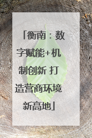 衡南：数字赋能+机制创新 打造营商环境新高地