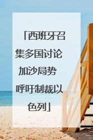 西班牙召集多国讨论加沙局势 呼吁制裁以色列