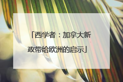 西学者：加拿大新政带给欧洲的启示