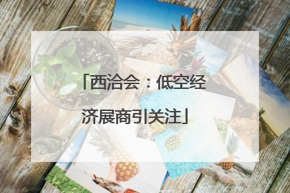 西洽会：低空经济展商引关注